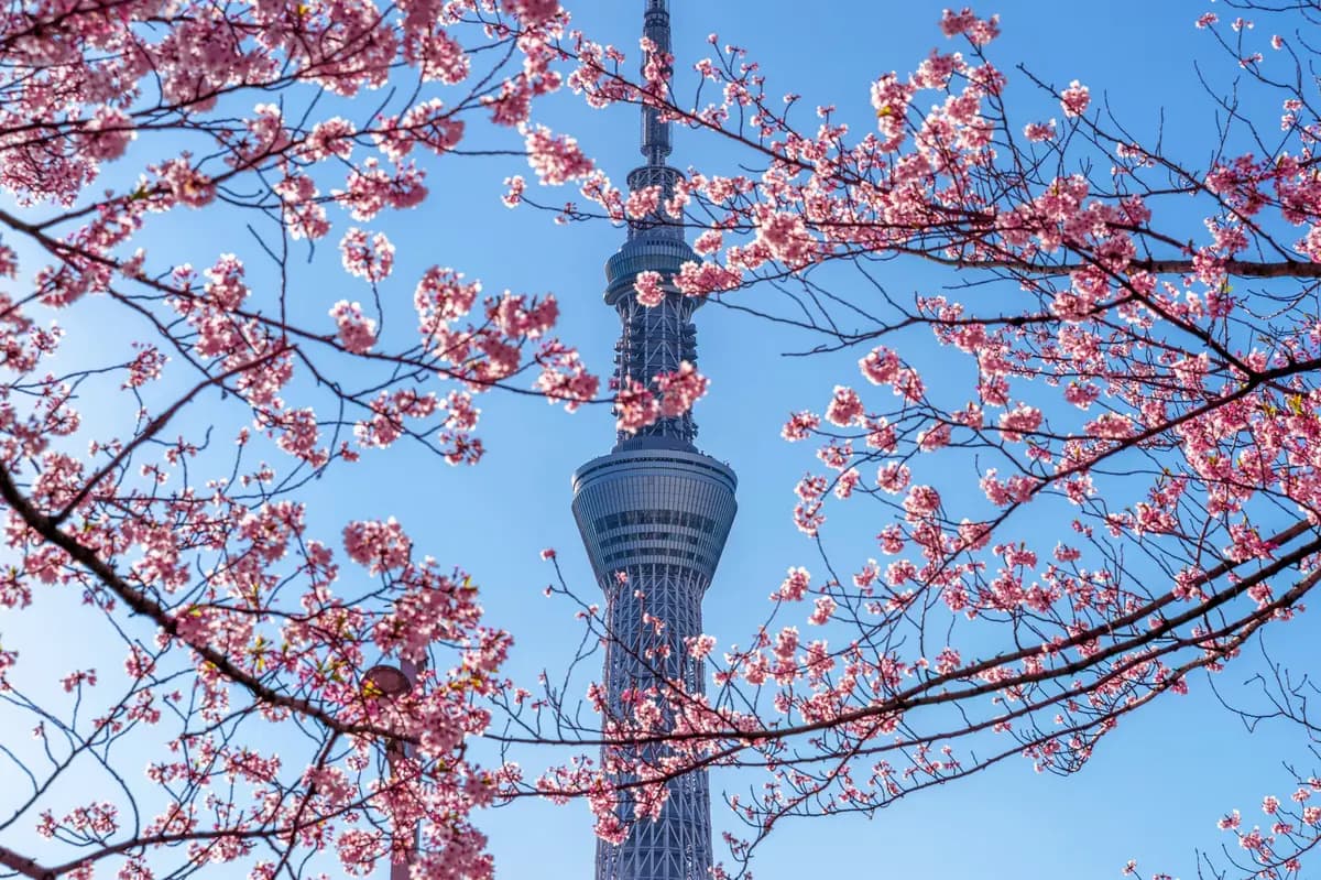 日本传统高才签证